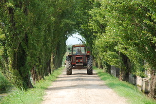 la-zambonina-la tenuta-03